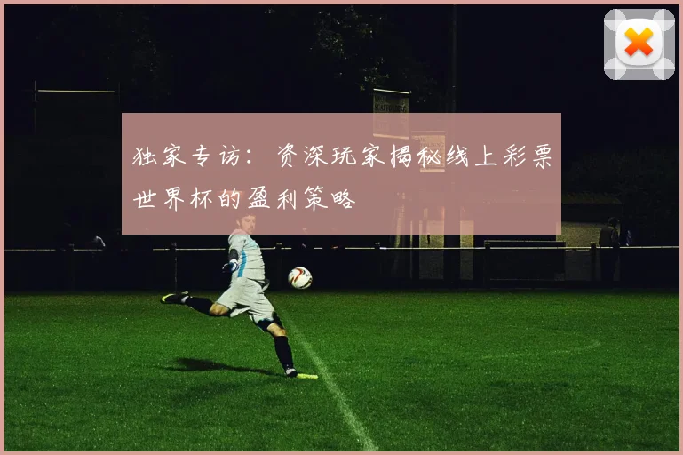 独家专访：资深玩家揭秘线上彩票世界杯的盈利策略