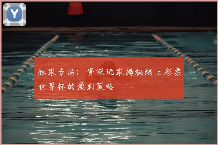 独家专访：资深玩家揭秘线上彩票世界杯的盈利策略