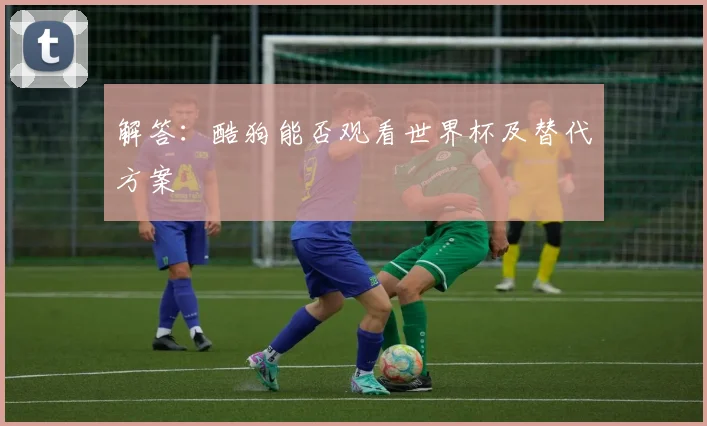解答：酷狗能否观看世界杯及替代方案