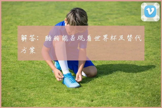 解答：酷狗能否观看世界杯及替代方案